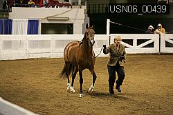 USN06_00439 proof