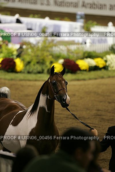 Proof USN06_00456