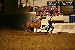 USN06_04626 proof