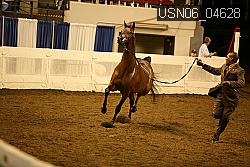 USN06_04628 proof