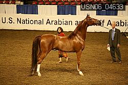 USN06_04633 proof