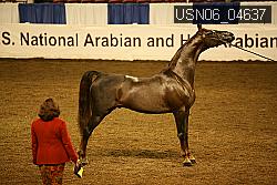 USN06_04637 proof