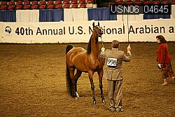 USN06_04645 proof