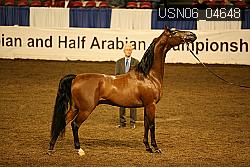 USN06_04648 proof