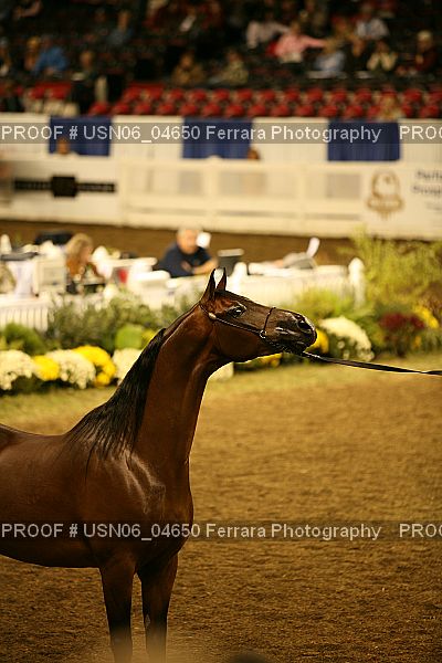 Proof USN06_04650