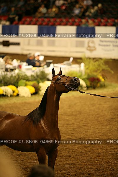 Proof USN06_04669