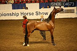 USN06_04673 proof