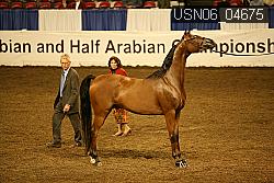 USN06_04675 proof