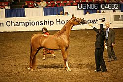 USN06_04682 proof