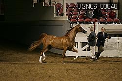 USN06_03840 proof