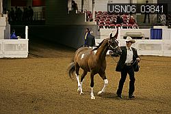 USN06_03841 proof