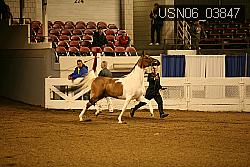 USN06_03847 proof
