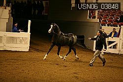 USN06_03848 proof