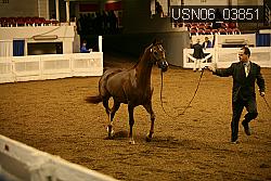 USN06_03851 proof