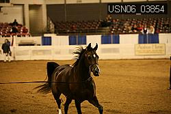 USN06_03854 proof