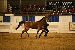 USN06_03855 proof