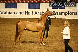 USN06_03859 proof