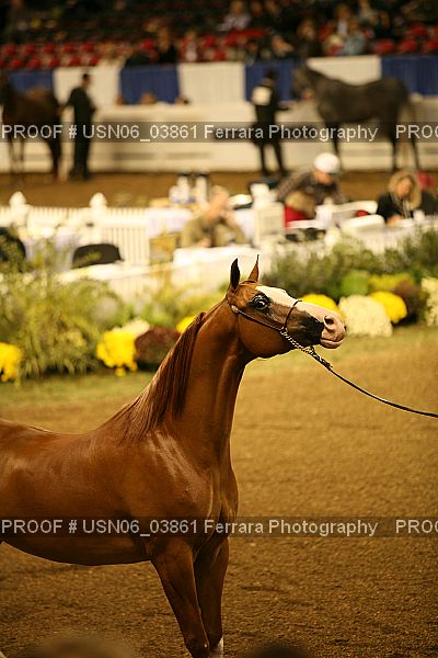 Proof USN06_03861