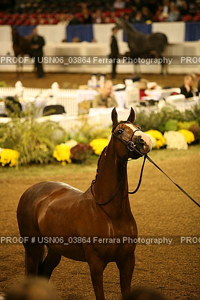 Proof USN06_03864