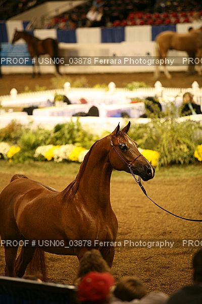 Proof USN06_03878