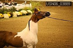 USN06_03889 proof