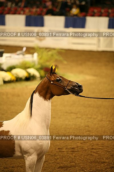 Proof USN06_03891