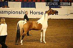 USN06_03894 proof