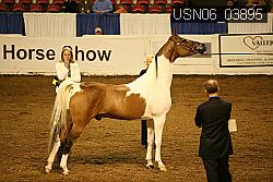 USN06_03895 proof