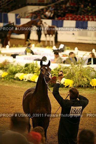 Proof USN06_03911