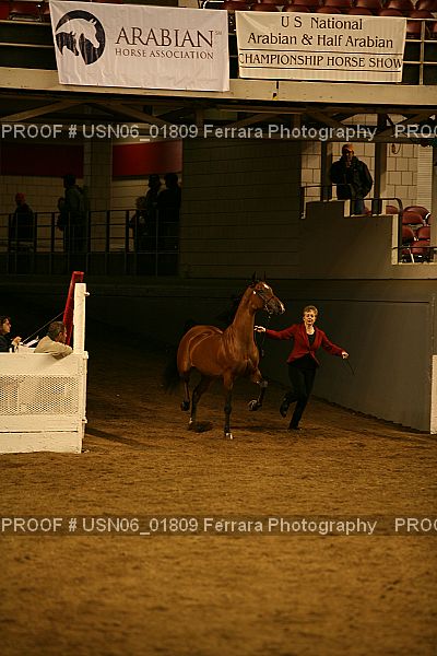 Proof USN06_01809