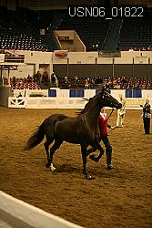 USN06_01822 proof