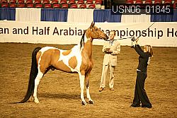 USN06_01845 proof