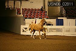 USN06_02811 proof