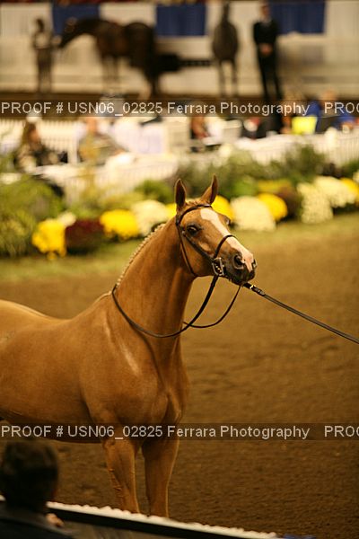 Proof USN06_02825
