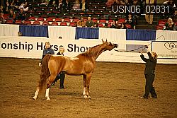 USN06_02831 proof