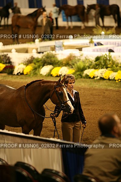 Proof USN06_02832