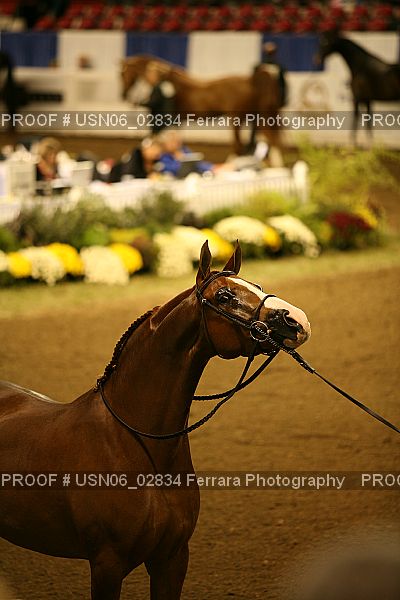 Proof USN06_02834