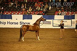 USN06_02837 proof