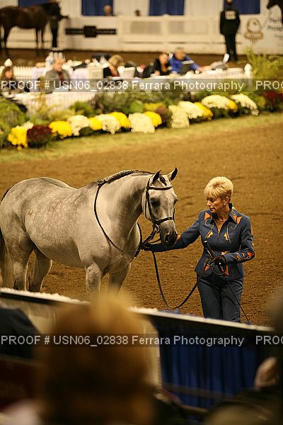 Proof USN06_02838