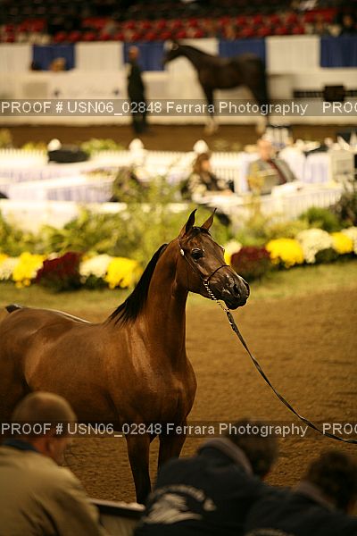Proof USN06_02848