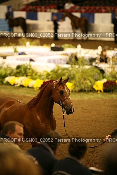 Proof USN06_02852