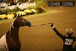 USN06_02856 proof