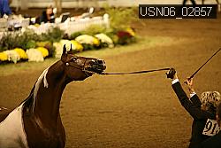 USN06_02857 proof