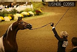 USN06_02858 proof