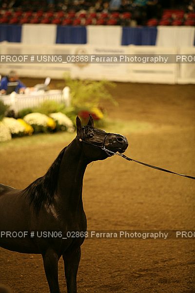 Proof USN06_02868
