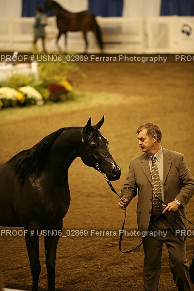 Proof USN06_02869