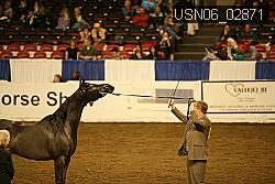 USN06_02871 proof