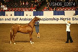 USN06_02874 proof