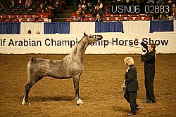 USN06_02883 proof