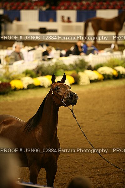 Proof USN06_02884